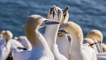 苍南2026年最新杭州高端商务伴游招聘网渠道分享(最方便真实的苍南茉莉伴游伴游天下全国联盟方法)